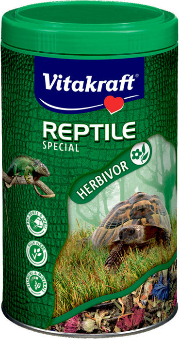 Turtle Special1 l