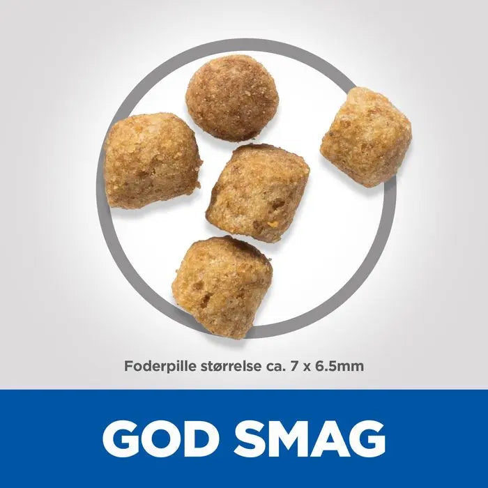 Mature Sterilised