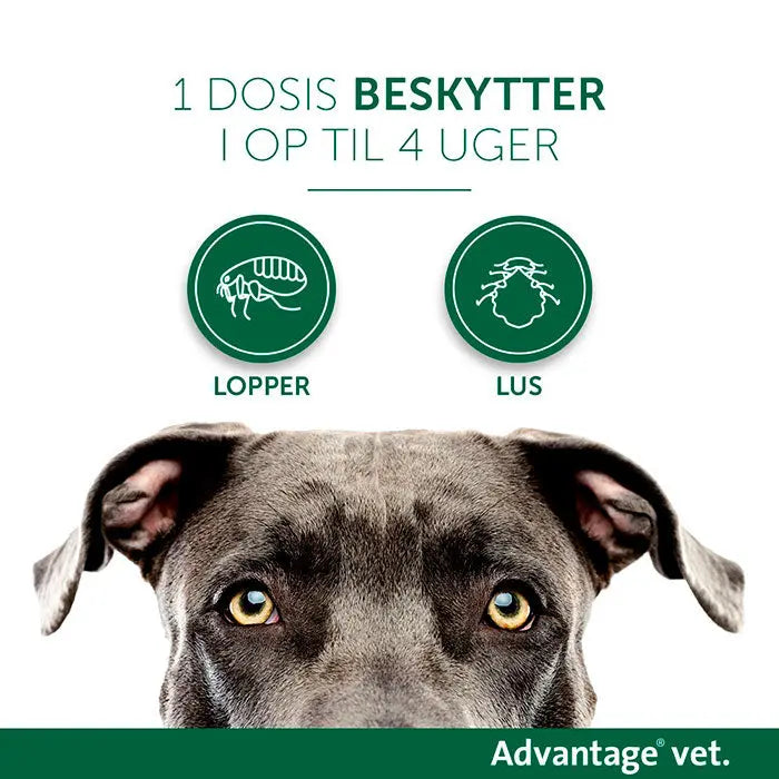 ADVANTAGE VET Loppemiddel hund 4-10 kg - 4x1,0 ml