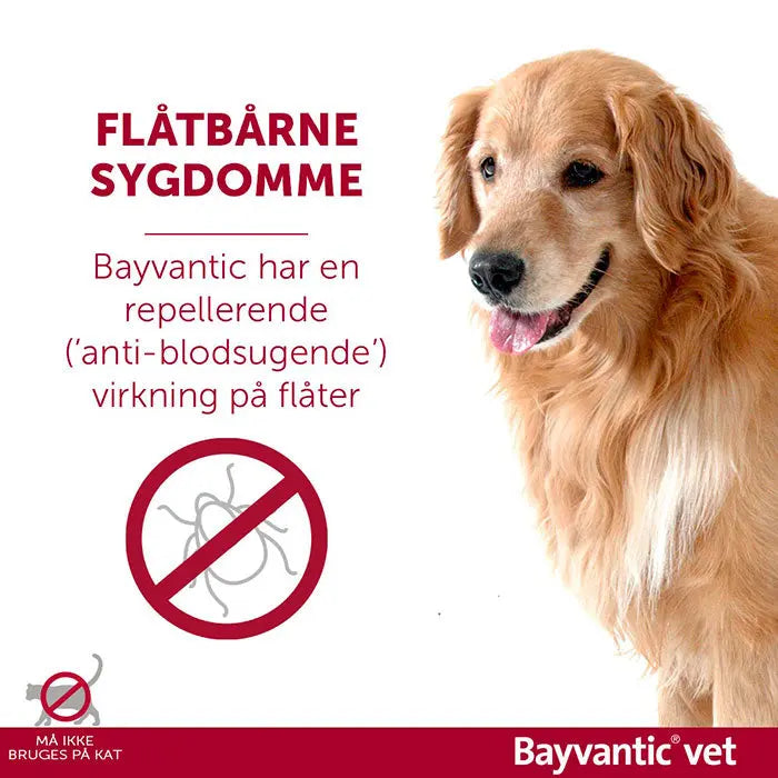 BAYVANTIC VET Flåt- & loppemiddel hund 4-10 kg - 4x1,0 ml