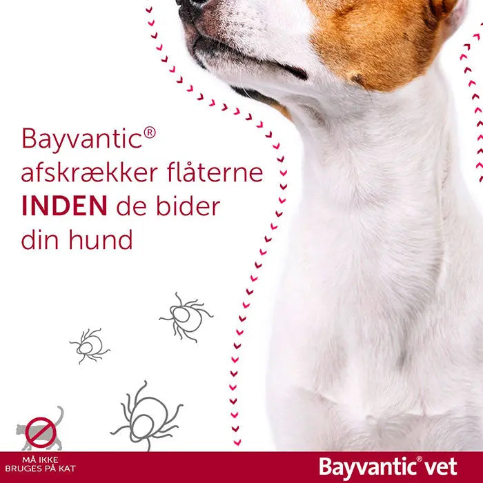 BAYVANTIC VET Flåt- & loppemiddel hund 10-25 kg - 4x2,5 ml