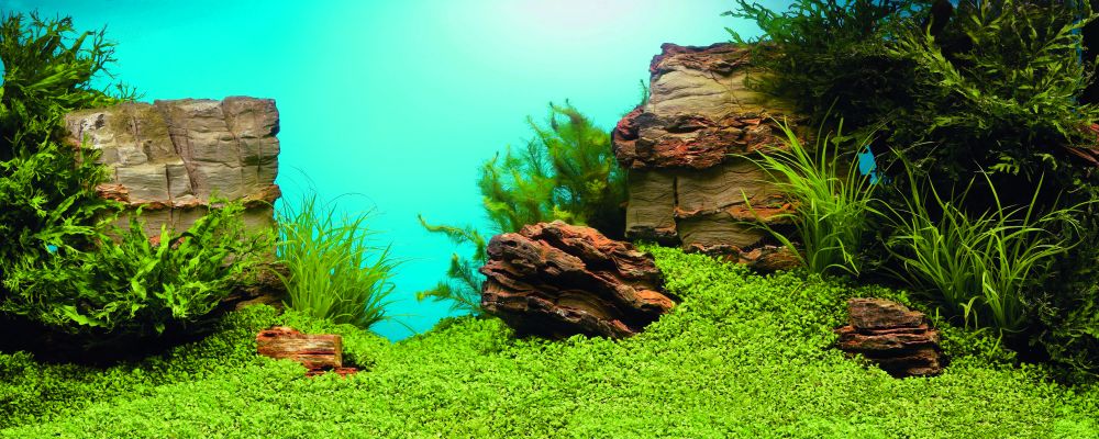 Baggrundsfolie2 motiver 100 x 50 cm
