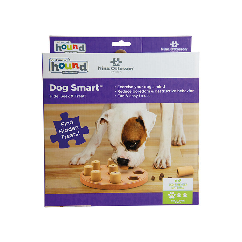 dog smart