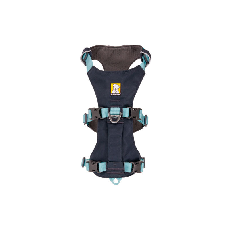 Flagline sele S Basalt Grey