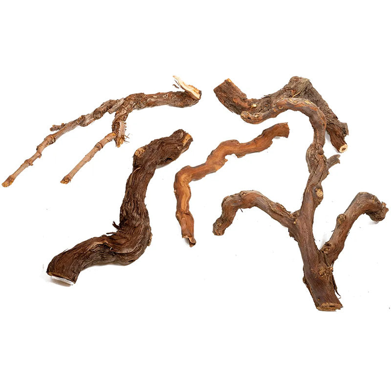 Winewoods 20-40 cm