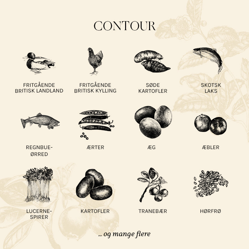Adult Contour