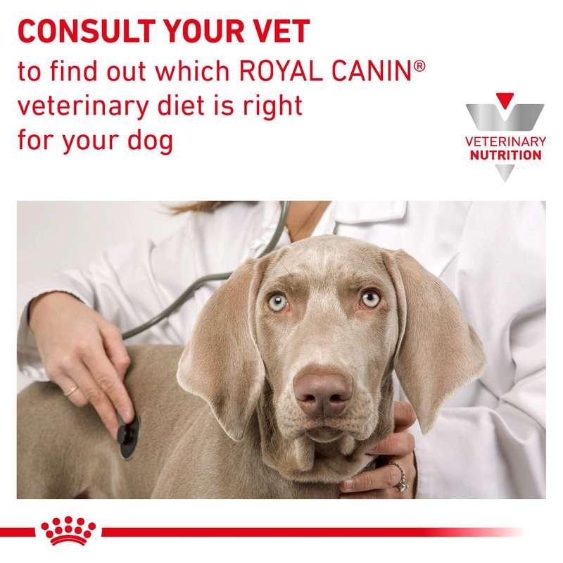 VHN Gastrointestinal High Fibre 200 g