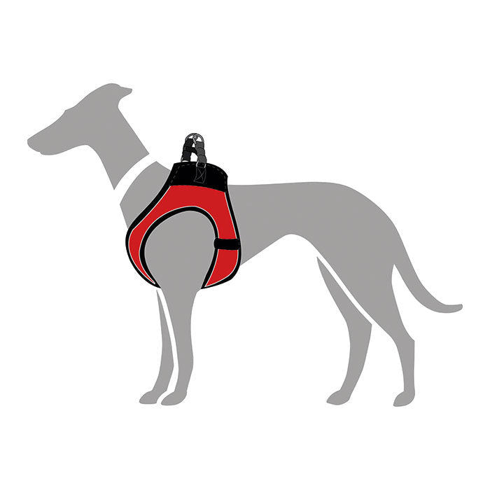 Hunter Hilo Comfort Hundesele hals 26-30cm bryst 31-33cm rød